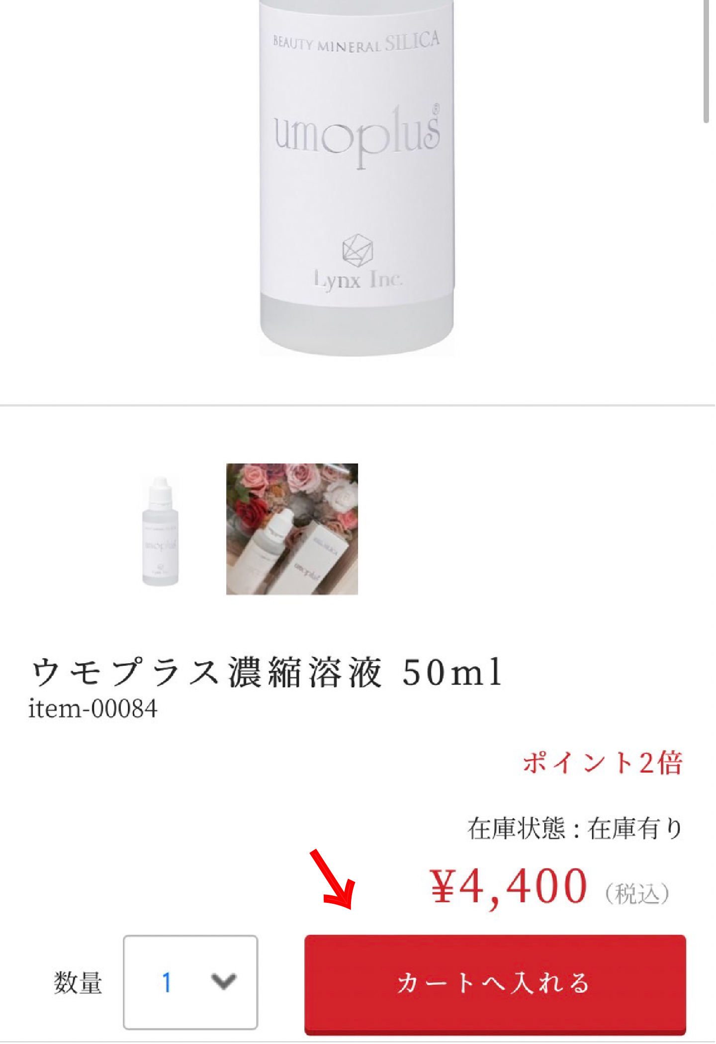 ② カートに入れる